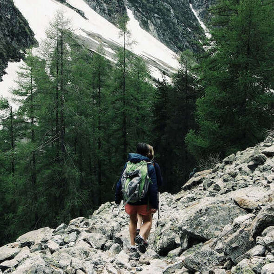 Hiker trekking through a mountainous forest trail surrounded by rocks and trees with snow-capped peaks in the background.