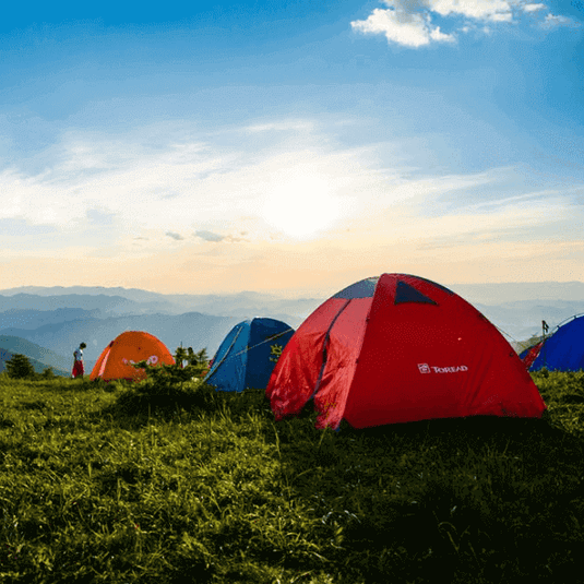 Colorful tents set up on a grassy field with a scenic sunrise in the background, perfect for a beginner's camping trip.