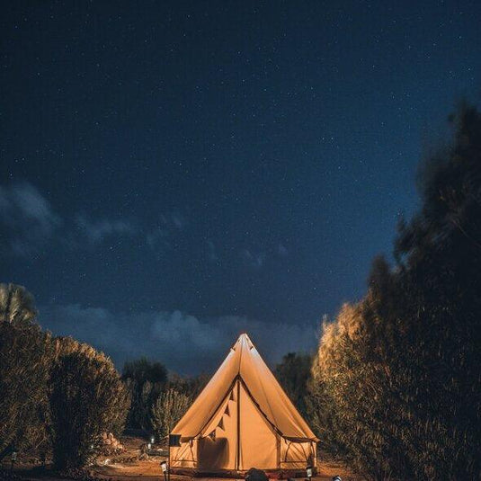 Eco-friendly camping tent under a starlit night sky surrounded by trees and nature.