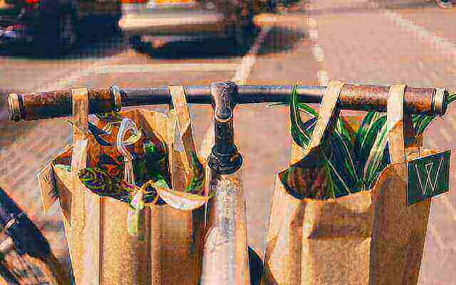 Everything You Need to Know About Sustainable Shopping