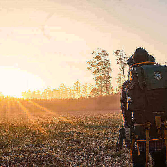 Backpacker hiking at sunrise in scenic outdoor meadow, essential backpacking tips. - Adventureco Blog