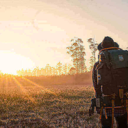 Backpacker hiking at sunrise in scenic outdoor meadow, essential backpacking tips.