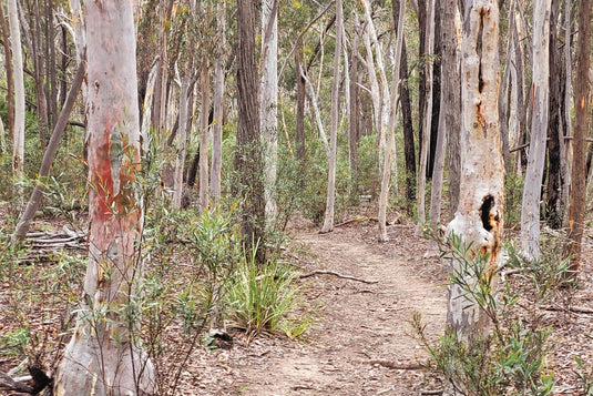 Barefoot and minimalist trail running in Australia