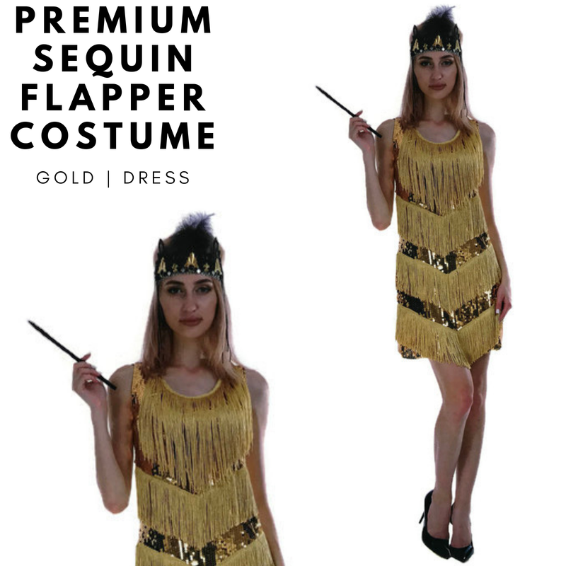 Load image into Gallery viewer, Charleston Sequin Flapper Fringe Costume Tassel Party Fancy Dress 20s 30s - Gold-2
