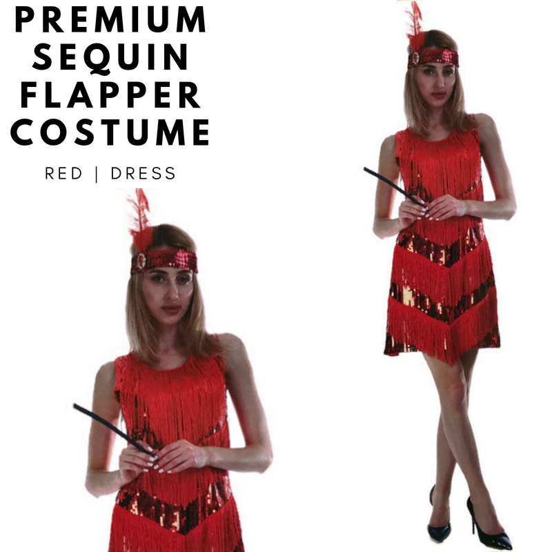 Load image into Gallery viewer, Charleston Sequin Flapper Fringe Costume Tassel Party Fancy Dress 20s 30s - Red-2
