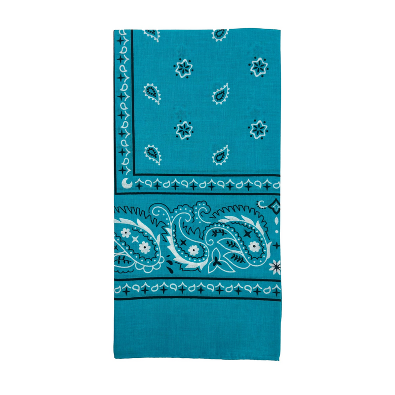 Load image into Gallery viewer, 15x BULK BANDANA Paisley 100% COTTON Head Wrap Bandanna Summer Scarf - Blue-2
