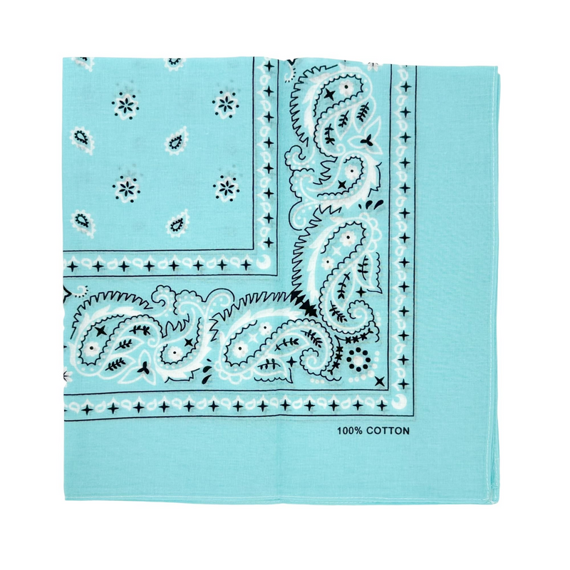 Load image into Gallery viewer, 15x BULK BANDANA Paisley 100% COTTON Head Wrap Bandanna Summer Scarf - Sky Blue-2
