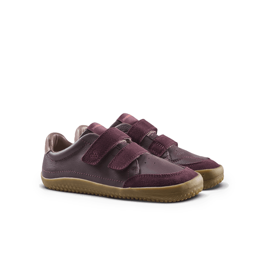 Vivobarefoot Gobi Sneaker Preschool Fig-3