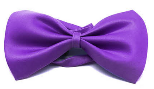 Mens BOW TIE Wedding Tuxedo  Formal Bestman Necktie Classic Plain Party - Purple-0
