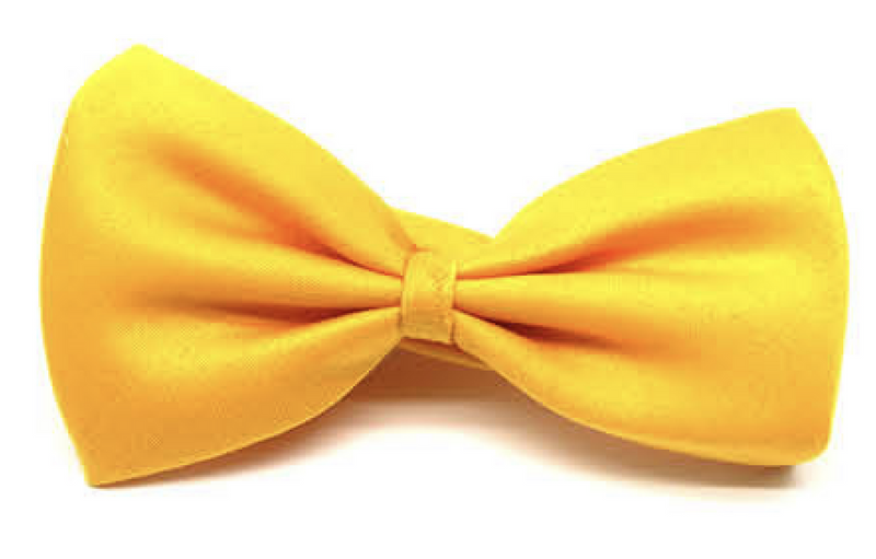 Load image into Gallery viewer, Mens BOW TIE Wedding Tuxedo  Formal Bestman Necktie Classic Plain Party - Yellow-1

