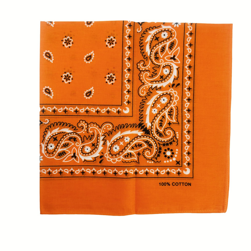 Load image into Gallery viewer, 20x BANDANA Paisley 100% COTTON Head Wrap Durag Bandanna Scarf Mask BULK - Orange-3
