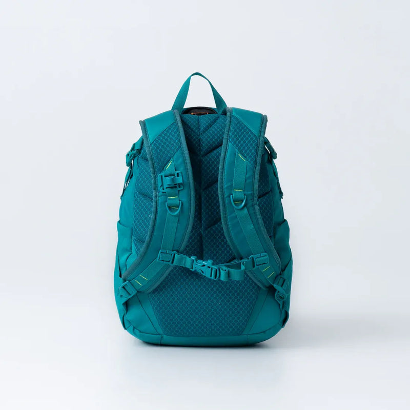 Load image into Gallery viewer, BlackWolf Kalbarri Day Pack 20L Hydration Compatible Air Mesh Harness in Quetzal Green-3
