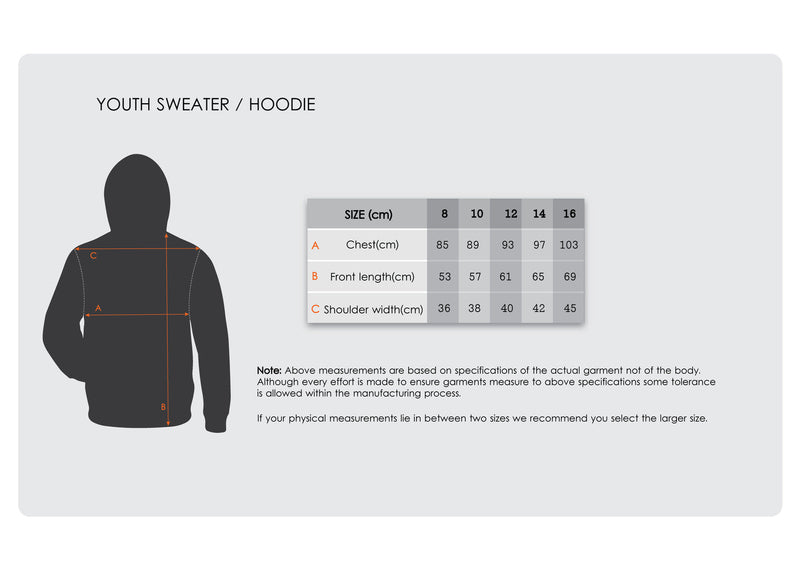 Load image into Gallery viewer, Liverpool FC Youth Boys Hoodie Jumper LFC YNWA Firebird Hoody - Red-2
