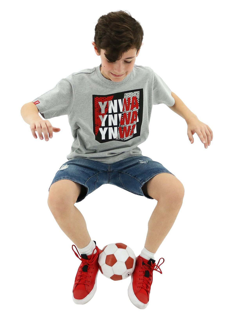 Load image into Gallery viewer, Liverpool FC Youth Kids YNWA Tee T Shirt Top Soccer LFC - Grey-4
