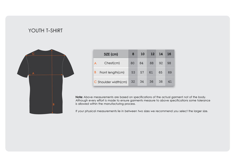 Load image into Gallery viewer, Liverpool FC Youth Kids YNWA Tee T Shirt Top Soccer LFC - Grey-2
