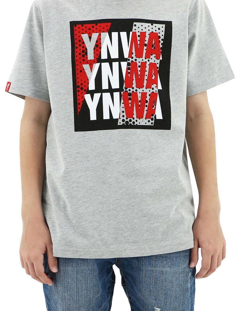 Load image into Gallery viewer, Liverpool FC Youth Kids YNWA Tee T Shirt Top Soccer LFC - Grey-3
