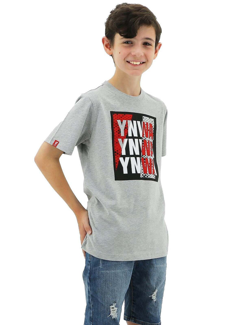 Load image into Gallery viewer, Liverpool FC Youth Kids YNWA Tee T Shirt Top Soccer LFC - Grey-1
