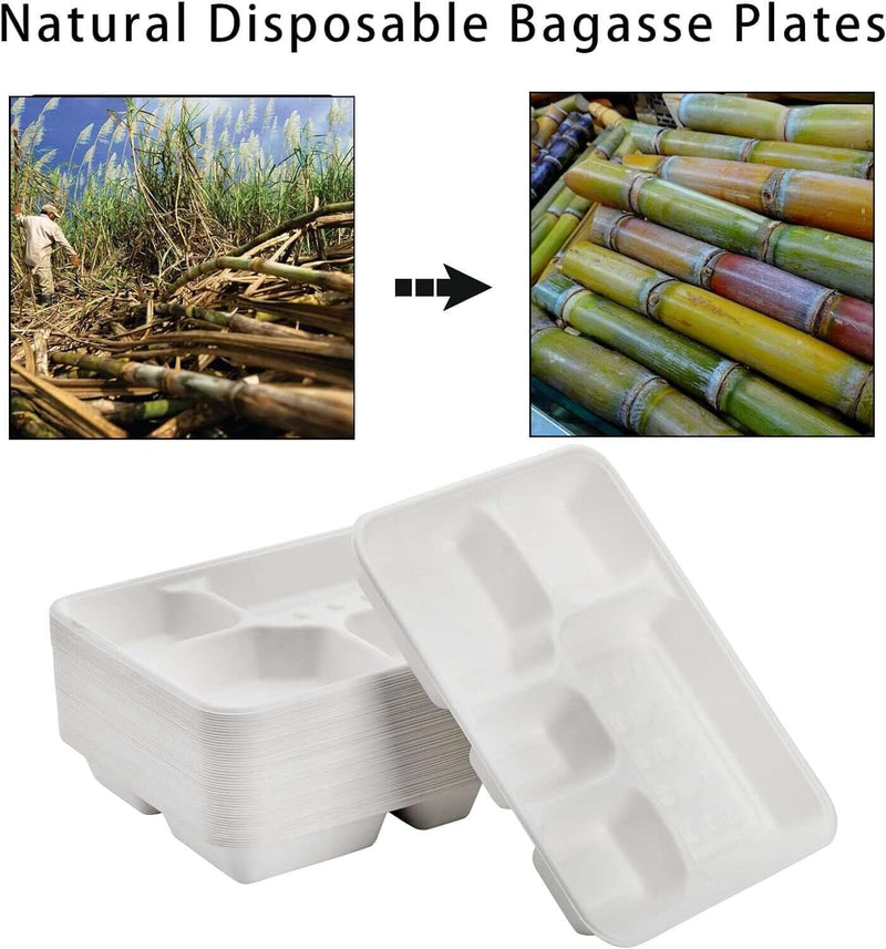 Load image into Gallery viewer, 240pcs Sugarcane Bagasse 5 Deep Compartment Lunch Paper Tray Plates 28x22cm Bulk
