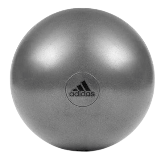 Adidas Gym Ball with Pump Exercise Yoga Fitness Pilates Birthing Training 55cm