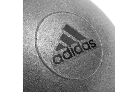 Adidas Gym Ball with Pump Exercise Yoga Fitness Pilates Birthing Training 75cm | Adventureco