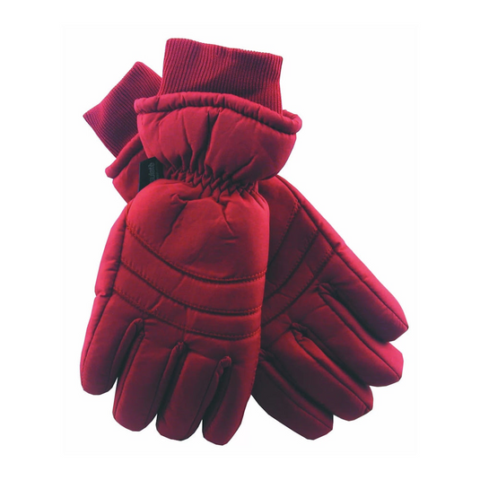 3M Thinsulate Ladies Waterproof Womens Ski Gloves in Red-0