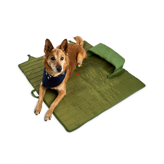 KELTY Lowdown 3-Person Couch Chair Lounge Seat Portable in Dill/Duffle-3