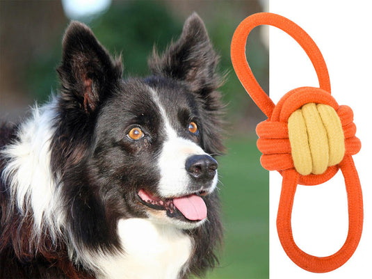 6x Heavy Duty Rope Dog Pet Toy Tug of War Durable Tough Chew Small to Large Dogs-2
