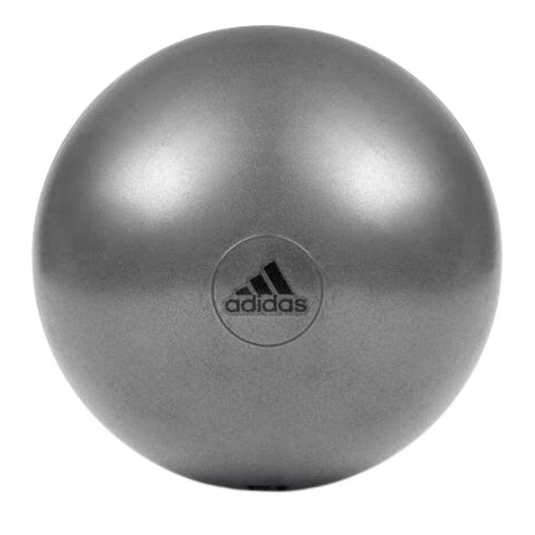 Adidas Gym Ball with Pump Exercise Yoga Fitness Pilates Birthing Training 55cm-1