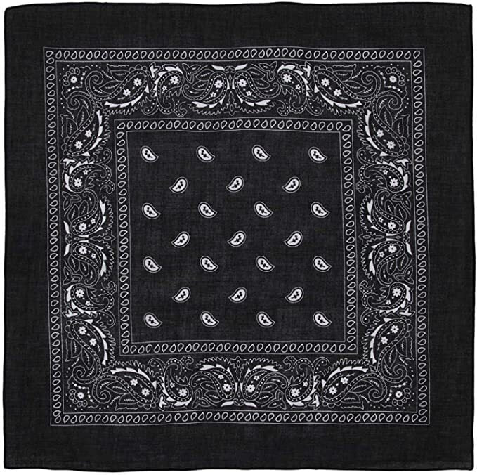 Load image into Gallery viewer, BANDANA Paisley 100% COTTON Head Wrap Durag Bandanna Summer Biker Scarf Mask-7
