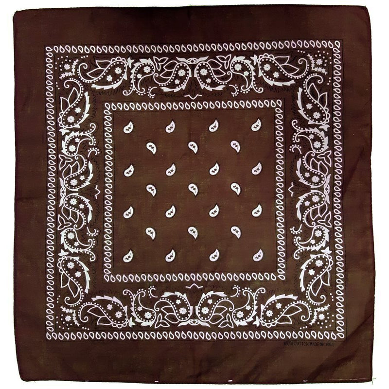 Load image into Gallery viewer, BANDANA Paisley 100% COTTON Head Wrap Durag Bandanna Summer Biker Scarf Mask-43
