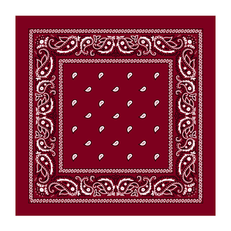 Load image into Gallery viewer, BANDANA Paisley 100% COTTON Head Wrap Durag Bandanna Summer Biker Scarf Mask-12
