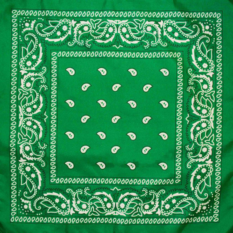 Load image into Gallery viewer, BANDANA Paisley 100% COTTON Head Wrap Durag Bandanna Summer Biker Scarf Mask-15
