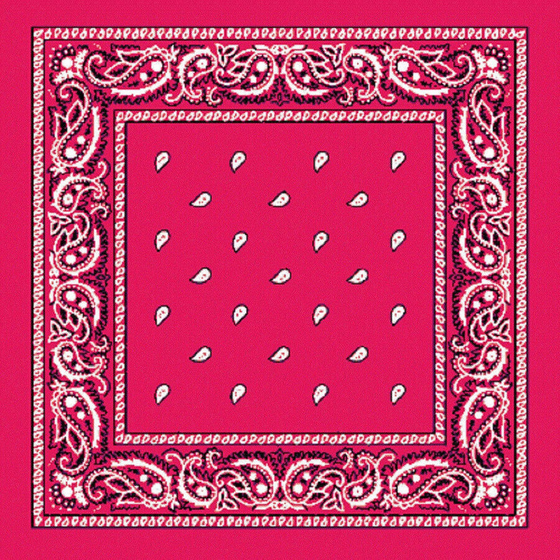 Load image into Gallery viewer, BANDANA Paisley 100% COTTON Head Wrap Durag Bandanna Summer Biker Scarf Mask-19
