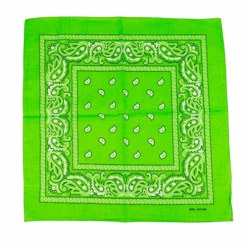 Load image into Gallery viewer, BANDANA Paisley 100% COTTON Head Wrap Durag Bandanna Summer Biker Scarf Mask-21
