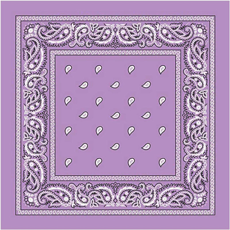 Load image into Gallery viewer, BANDANA Paisley 100% COTTON Head Wrap Durag Bandanna Summer Biker Scarf Mask-20
