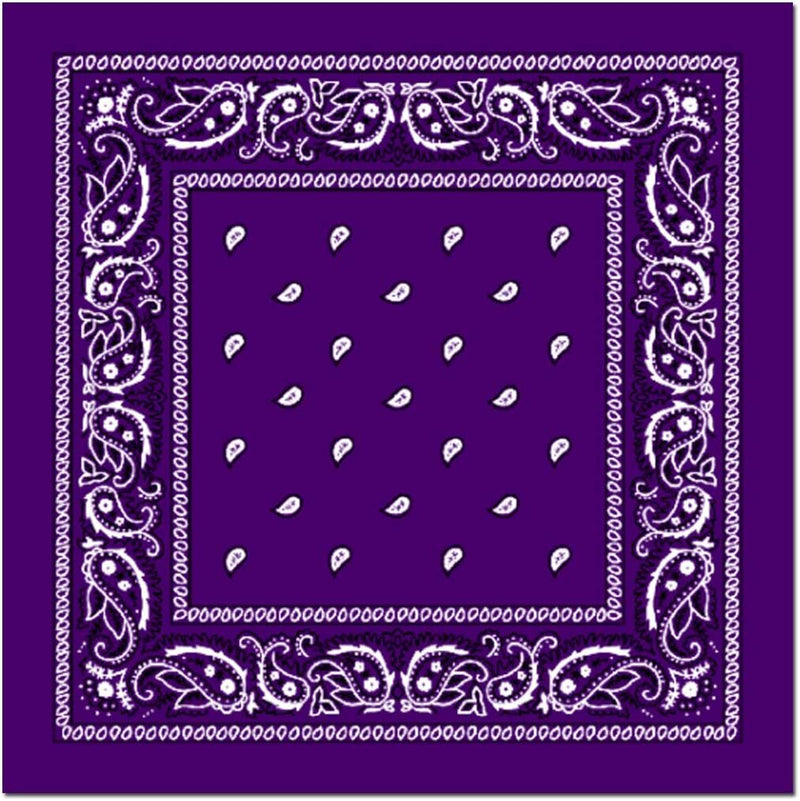 Load image into Gallery viewer, BANDANA Paisley 100% COTTON Head Wrap Durag Bandanna Summer Biker Scarf Mask-29
