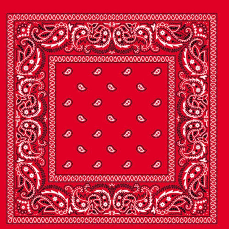 Load image into Gallery viewer, BANDANA Paisley 100% COTTON Head Wrap Durag Bandanna Summer Biker Scarf Mask-31
