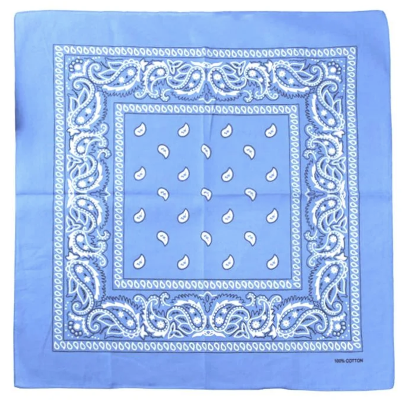 Load image into Gallery viewer, BANDANA Paisley 100% COTTON Head Wrap Durag Bandanna Summer Biker Scarf Mask-34
