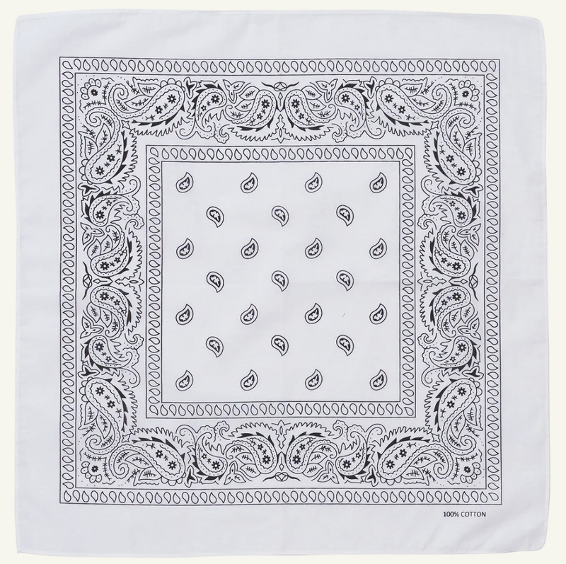 Load image into Gallery viewer, BANDANA Paisley 100% COTTON Head Wrap Durag Bandanna Summer Biker Scarf Mask-37

