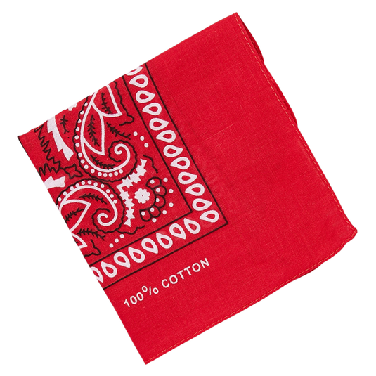 BANDANA Paisley 100% COTTON Head Wrap Durag Bandanna Summer Biker Scarf Mask-4