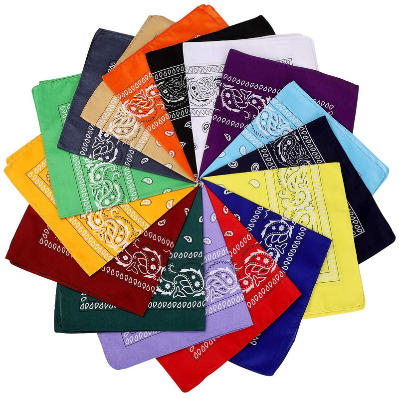 Load image into Gallery viewer, BANDANA Paisley 100% COTTON Head Wrap Durag Bandanna Summer Biker Scarf Mask-0
