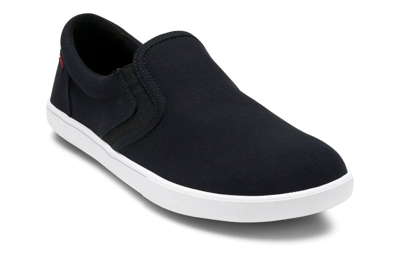 Load image into Gallery viewer, Dillon Canvas Slip-On Sneakers - Men-0
