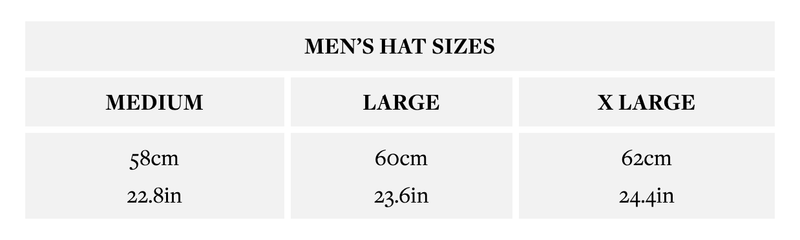 Load image into Gallery viewer, DENTS Halley Stevenson Waxed Cotton Flat Cap Ivy Hat Driving Cabbi Lined - Navy-2
