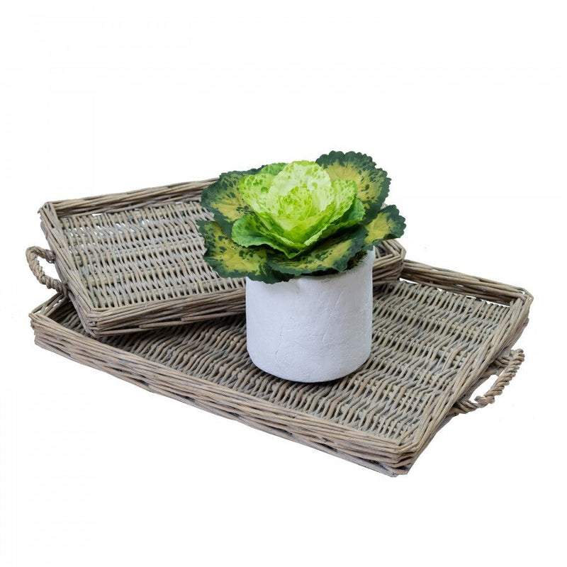 Load image into Gallery viewer, 3pcs 19cm Assorted Cabbage Rose in Pot Artificial Plant Flower-3
