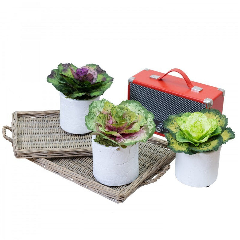 Load image into Gallery viewer, 3pcs 19cm Assorted Cabbage Rose in Pot Artificial Plant Flower-1
