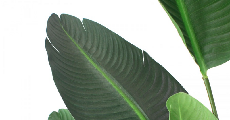Load image into Gallery viewer, 120cm Potted Faux Traveller Palm Leaves Artificial Flower Plant Décor-2
