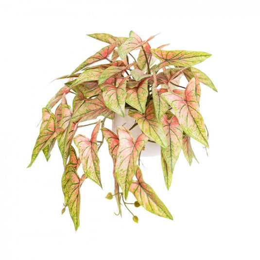30cm Potted Faux Syngonium Bush in Pot Artificial Flower Plant Green Decor in Red-2