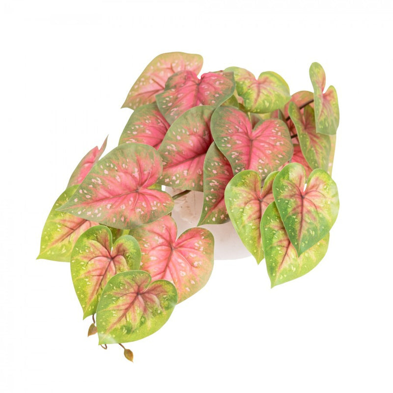 Load image into Gallery viewer, 46cm Potted Faux Caladium Bush in Pot Artificial Flower Plant Green Decor in Red/Green-4
