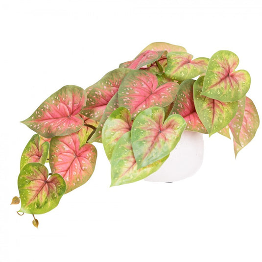 46cm Potted Faux Caladium Bush in Pot Artificial Flower Plant Green Decor in Red/Green-0