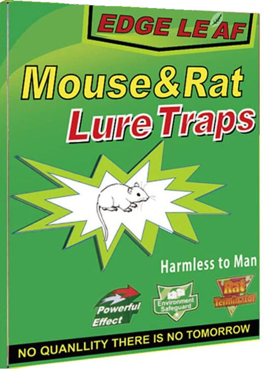 Load image into Gallery viewer, 1x Rat Mice Mouse Rodent Bug Cockroach Snare Lure Traps Catcher Sticky Pad-2
